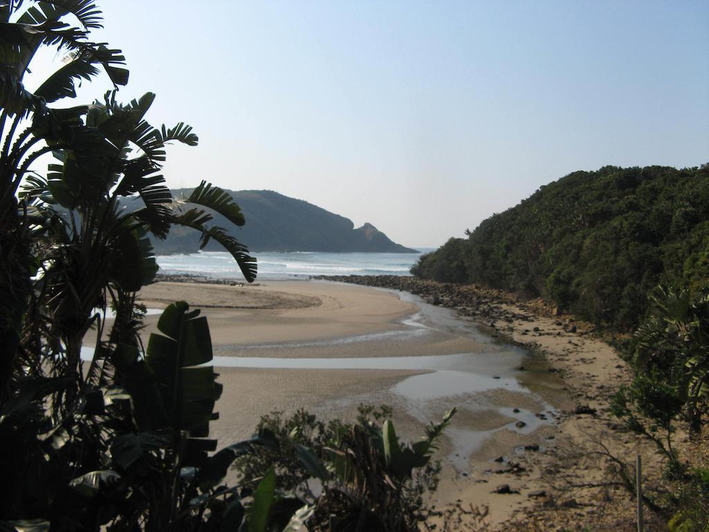 The Lodge On The Beach Port Saint John's Ruang foto