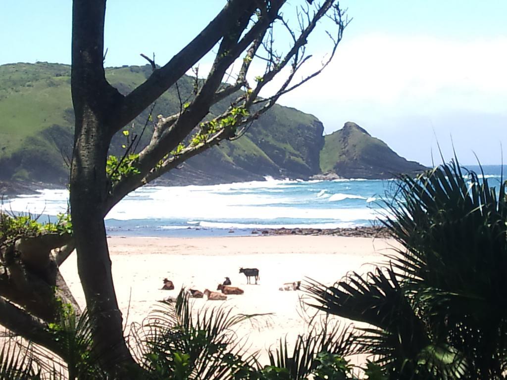 The Lodge On The Beach Port Saint John's Bagian luar foto