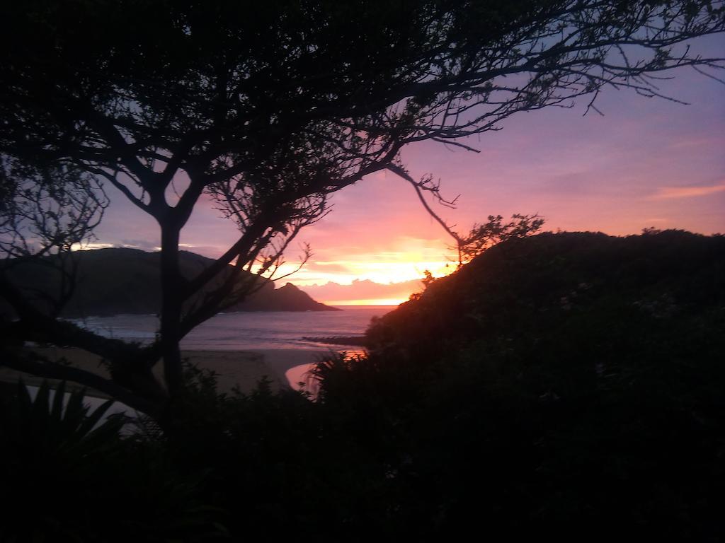 The Lodge On The Beach Port Saint John's Ruang foto